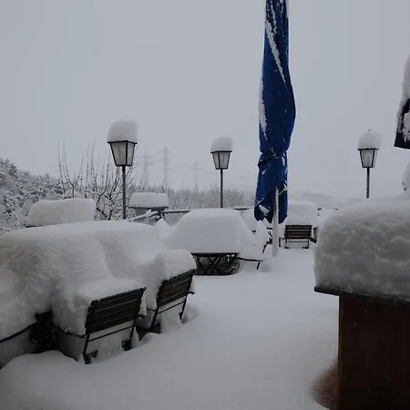 Gasthof Waldfrieden Tengen